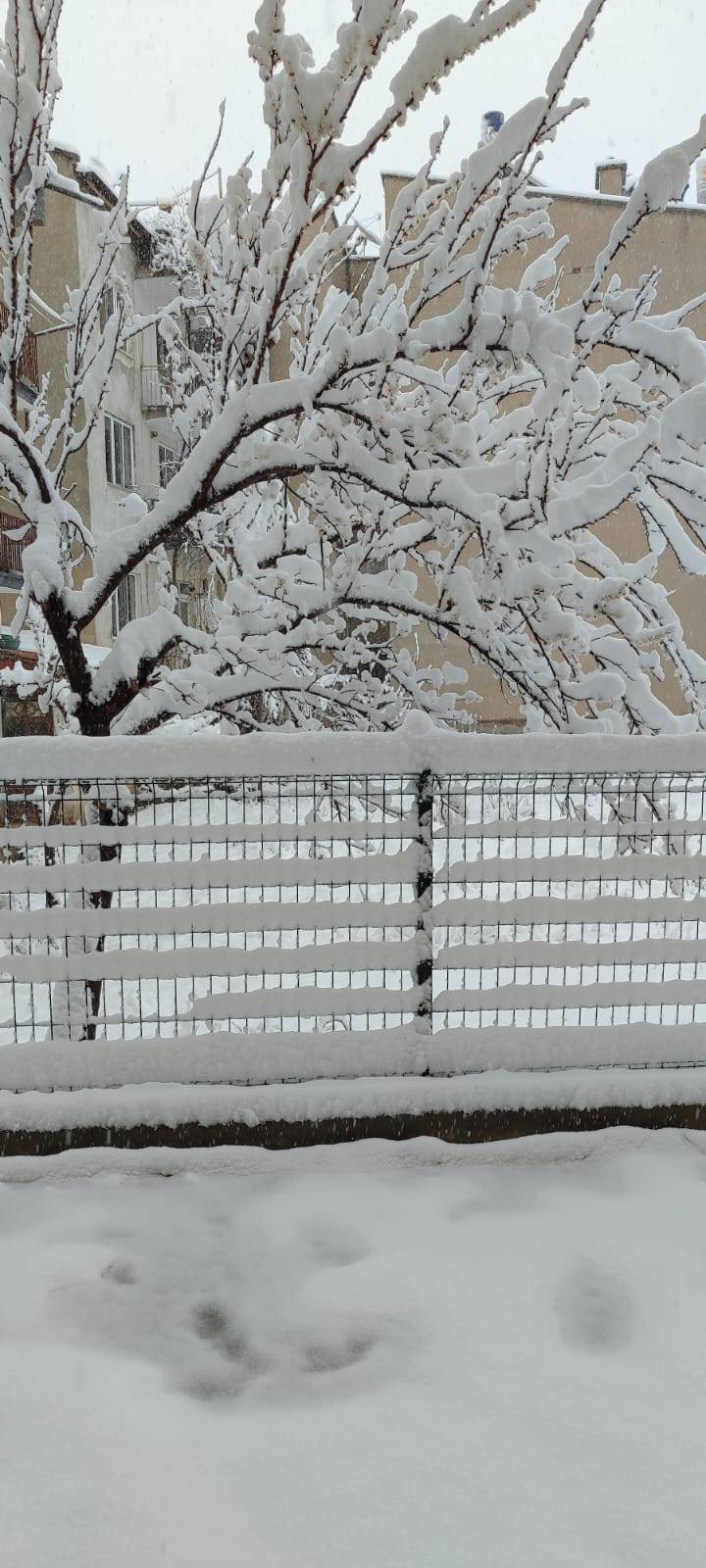 Konya Ilgın’a 30 santim kar yağdı, tüm ilçe aynı yorumu yaptı 9